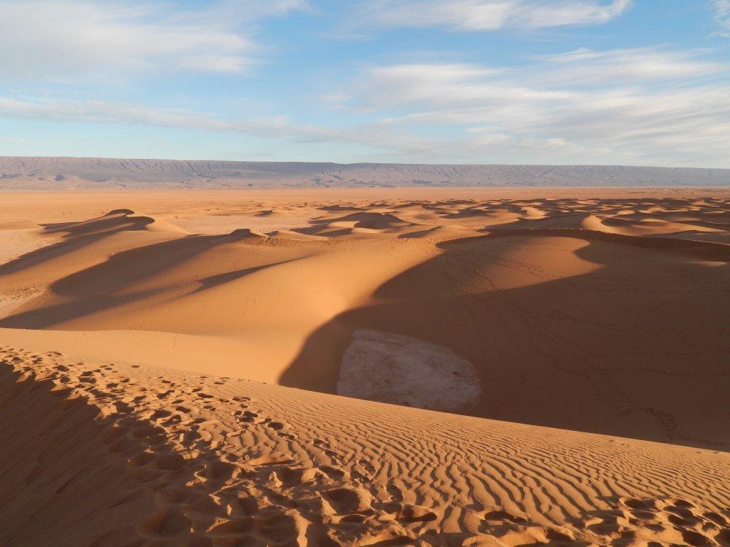 Bivouac Dune Iriki Foum Zguid Eksteriør bilde